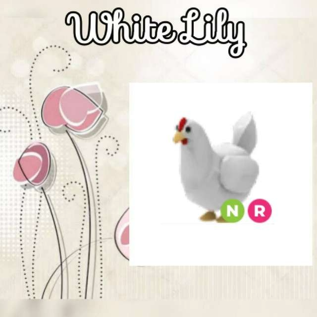 NR Chicken - Adopt Me Game Items - Gameflip