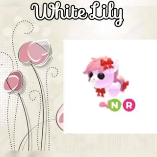 NR Pretty Pony