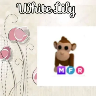 MFR Monkey