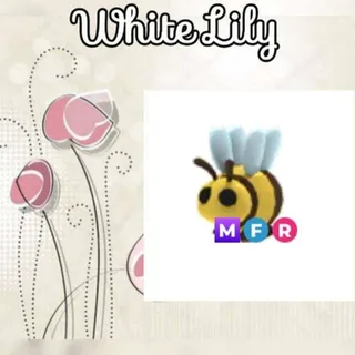 MFR Bee