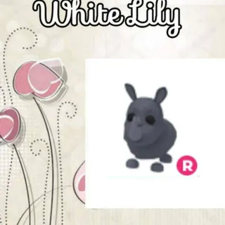 R Rhino