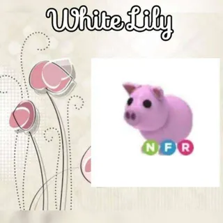 NFR Pig