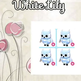 R Snow Owl X4
