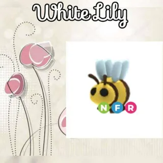 NFR Bee