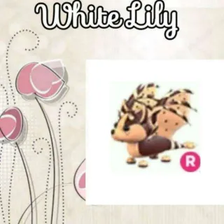 R Chocolate Bat Dragon