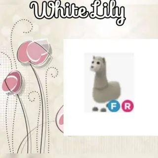FR Llama