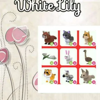 NR Pets Mix X9