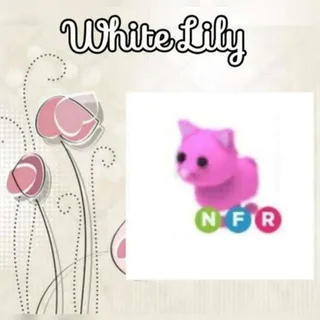 NFR Pink Cat