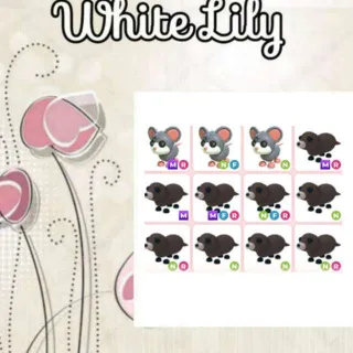 รายการภาพถ่าย