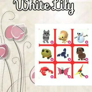 Ride Pets Mix X9