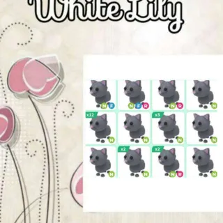 Neon Cat X27