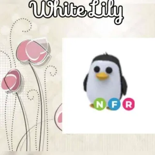NFR Penguin