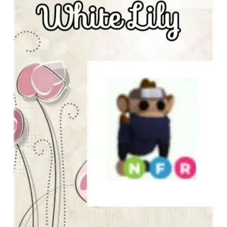 NFR Ninja Monkey