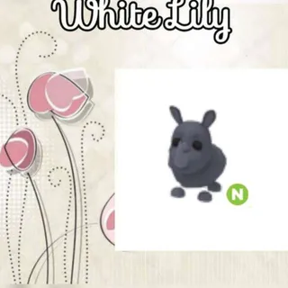 N Rhino
