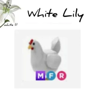 MFR Chicken