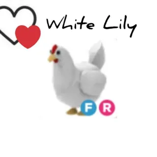 Pet | FR Chicken