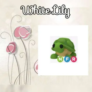 NFR Turtle