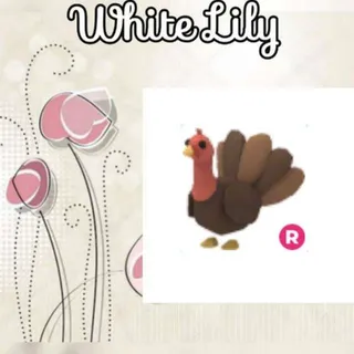 R Turkey