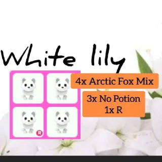 Bundle | 4x Arctic Fox Mix
