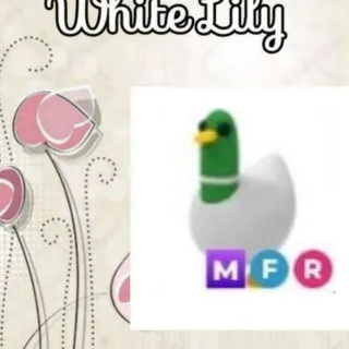 MFR Silly Duck