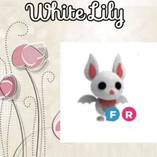 FR Albino Bat