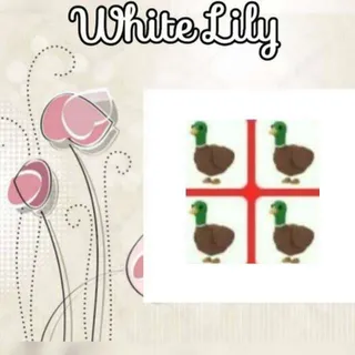 Drake X4