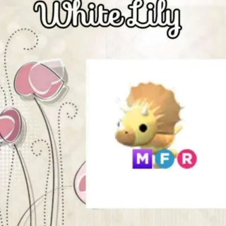 MFR Triceratops