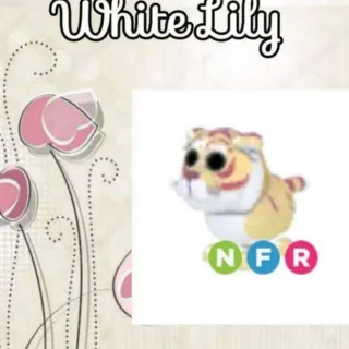NFR Lunar Gold Tiger