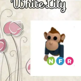 NFR Business Monkey