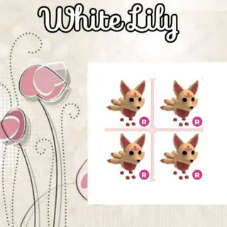 R Kitsune X4