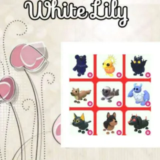 Ride Pets Mix X9