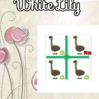 Ảnh niêm yết