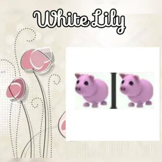 Pig X2