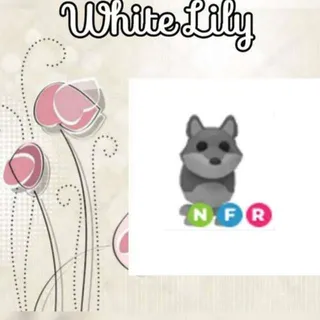 NFR Wolf