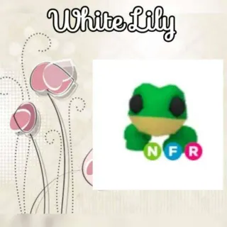 NFR Frog