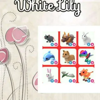 FR Pets Mix X9