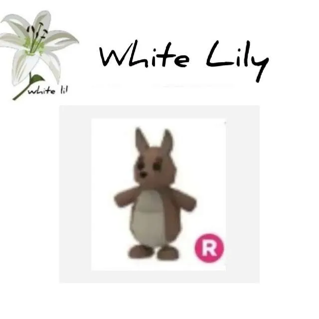 R Kangaroo - Adopt Me Game Items - Gameflip