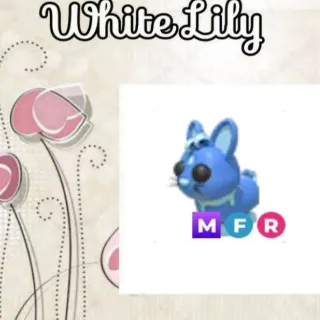 MFR Water Moon Rabbit