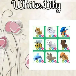 NFR Pets Mix X9