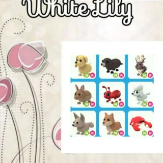 NR Pets Mix X9