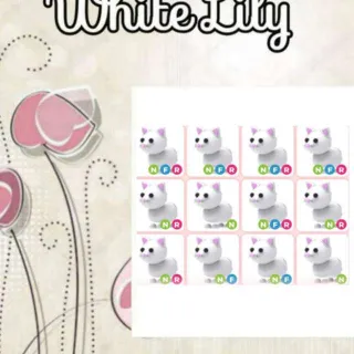 Neon Snow Cat X12