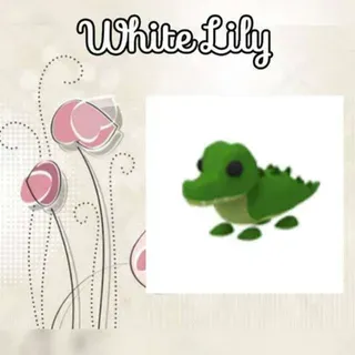 Crocodile No Potion