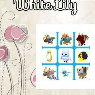 Pets Mix X9