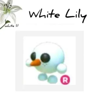 R Snowball Pet