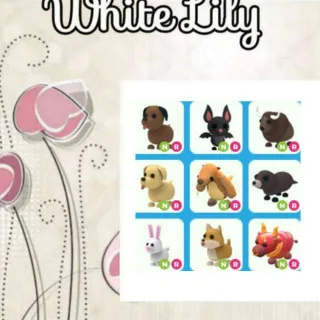 NR Pets Mix X9