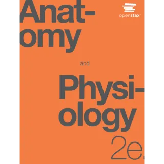 Anatomy and Physiology 2e by OpenStax - All Chapters Solution Manual