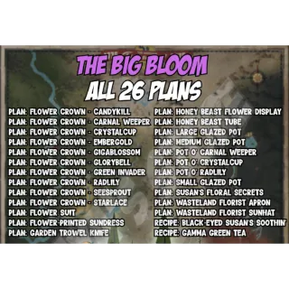 The Big Bloom All 26 Plans  Plan : F