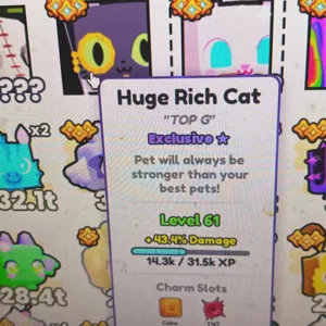 Huge Rich Cat