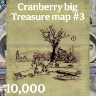 10,000 Cranberry Bog Treasure Map #3