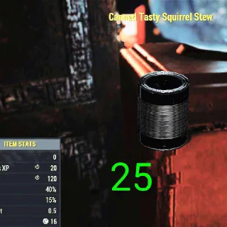 25 Canned Tasty Squirrel Stew